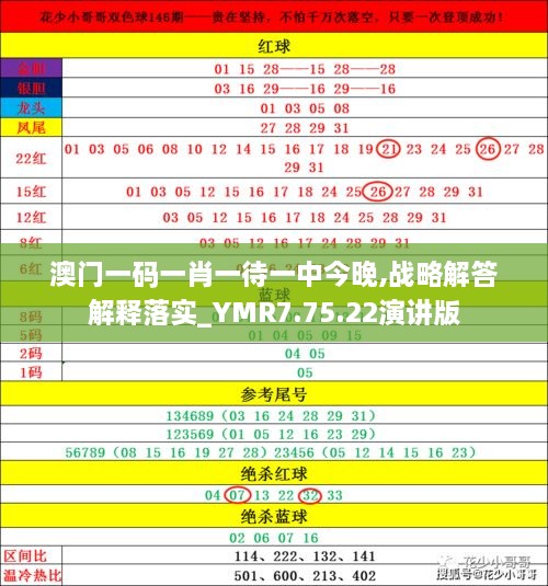 2025澳门今晚必开一肖,的虚假宣传-精选解析与落实